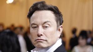 Elon Musk looking down on you, but still takes the money that you create for him.