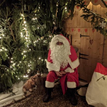 A visiting Santa with an abundant polyester beard, sitting in a fir-tree grotto with fairy lights.